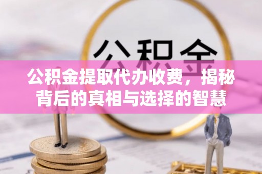 民丰公积金提取代办收费，揭秘背后的真相与选择的智慧