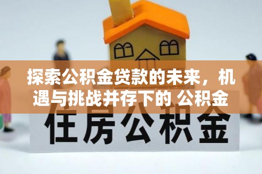 民丰探索公积金贷款的未来，机遇与挑战并存下的 公积金贷款风险防控