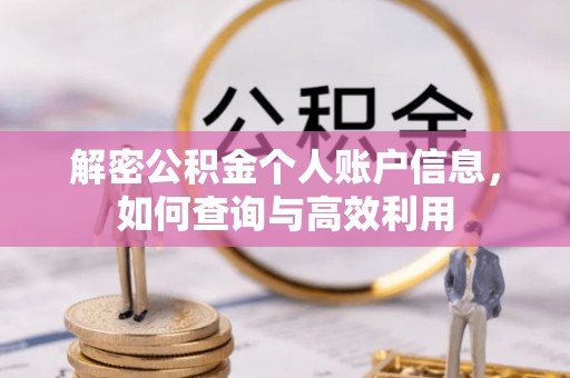 泰来解密公积金个人账户信息，如何查询与高效利用