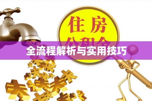 彭阳全流程解析与实用技巧