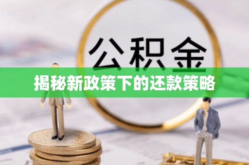 延庆揭秘新政策下的还款策略