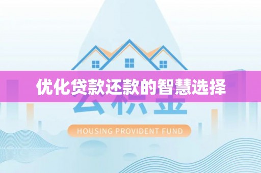柞水优化贷款还款的智慧选择