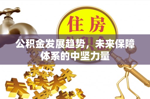 旗山公积金发展趋势，未来保障体系的中坚力量