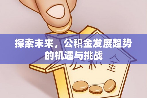 卫辉探索未来，公积金发展趋势的机遇与挑战