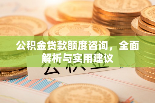 仁武公积金贷款额度咨询，全面解析与实用建议