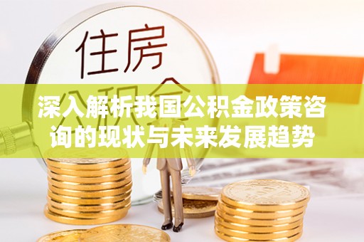 帮办深入解析我国公积金政策咨询的现状与未来发展趋势