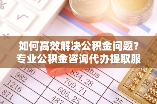 南市如何高效解决公积金问题？专业公积金咨询代办提取服务来帮你