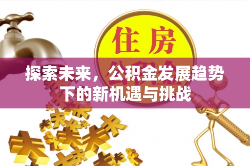 巴州探索未来，公积金发展趋势下的新机遇与挑战