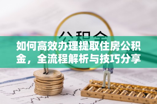 陇西如何高效办理提取住房公积金，全流程解析与技巧分享