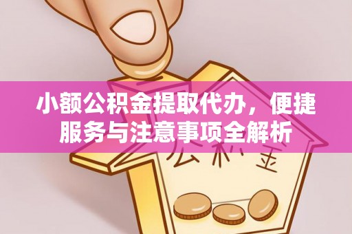 南宫小额公积金提取代办，便捷服务与注意事项全解析