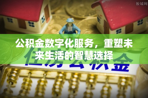 河口公积金数字化服务，重塑未来生活的智慧选择